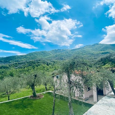 Casa Vacanze Gli Ulivi Borgomaro Εξωτερικό φωτογραφία