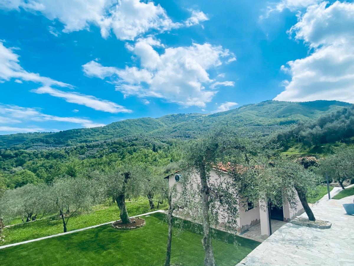 Casa Vacanze Gli Ulivi Borgomaro Εξωτερικό φωτογραφία