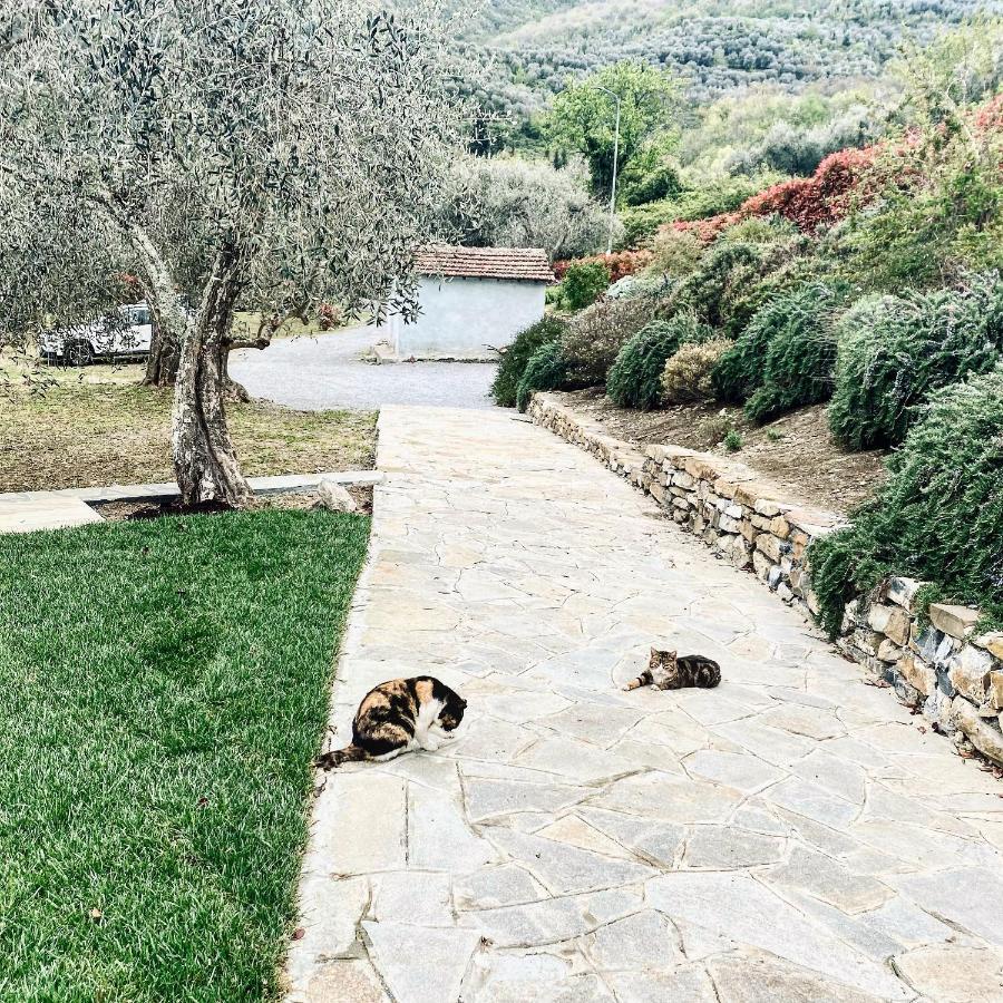 Casa Vacanze Gli Ulivi Borgomaro Εξωτερικό φωτογραφία