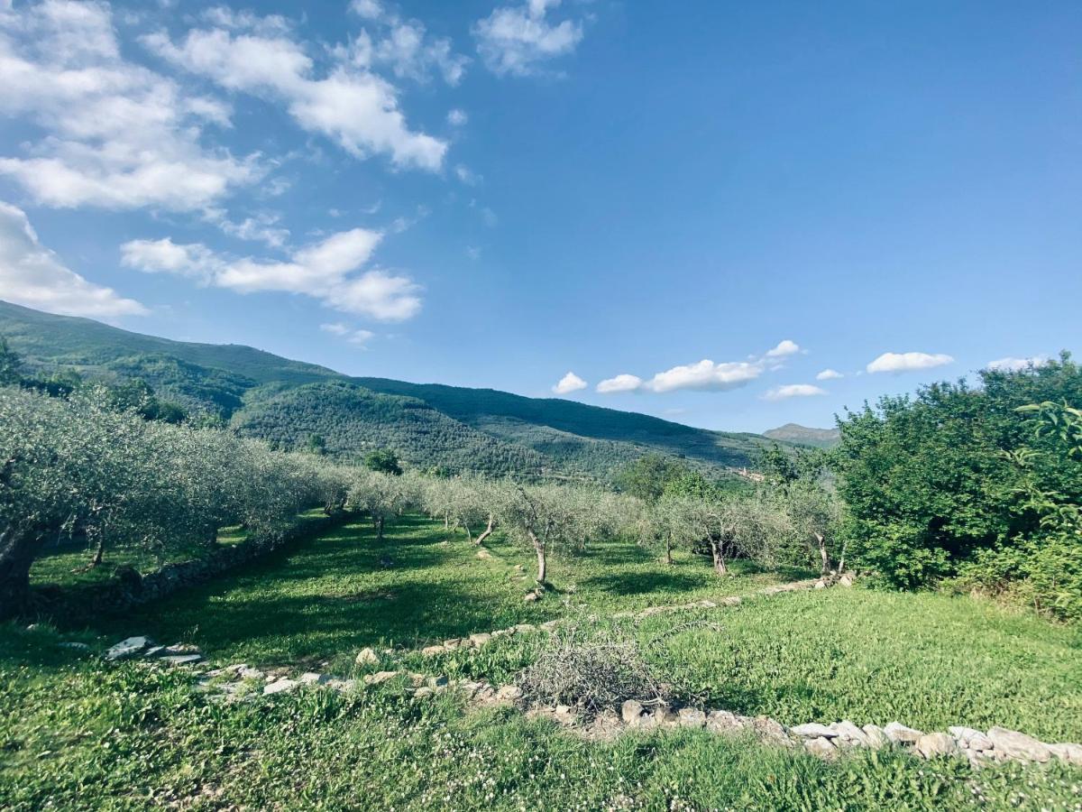 Casa Vacanze Gli Ulivi Borgomaro Εξωτερικό φωτογραφία