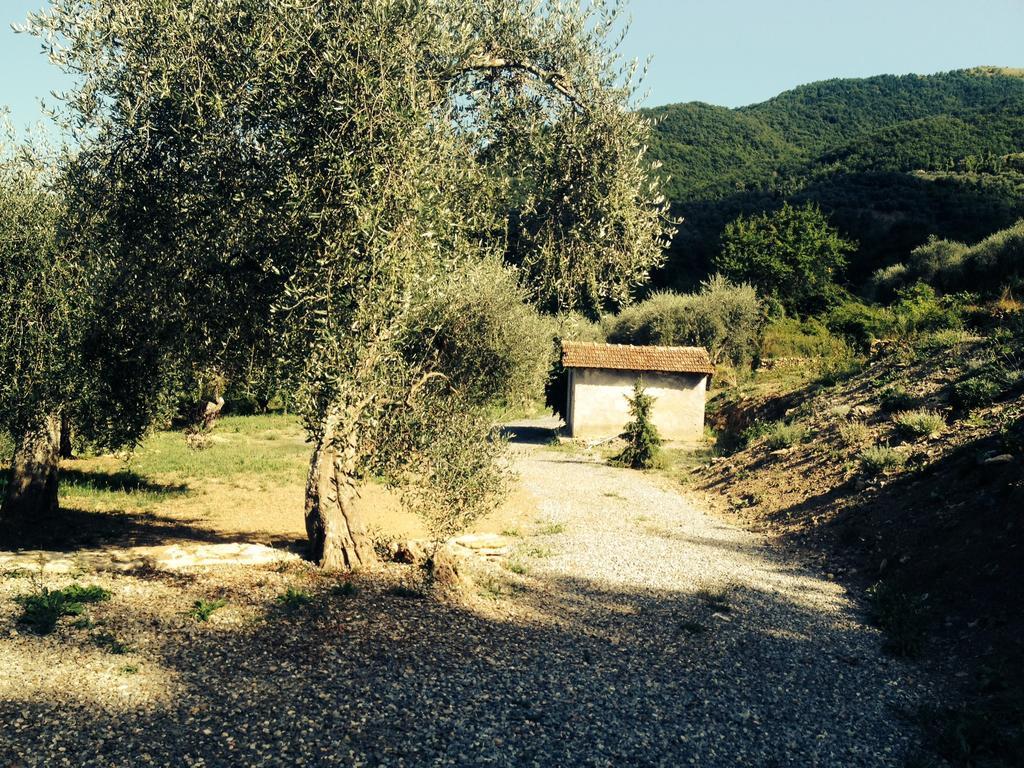 Casa Vacanze Gli Ulivi Borgomaro Δωμάτιο φωτογραφία