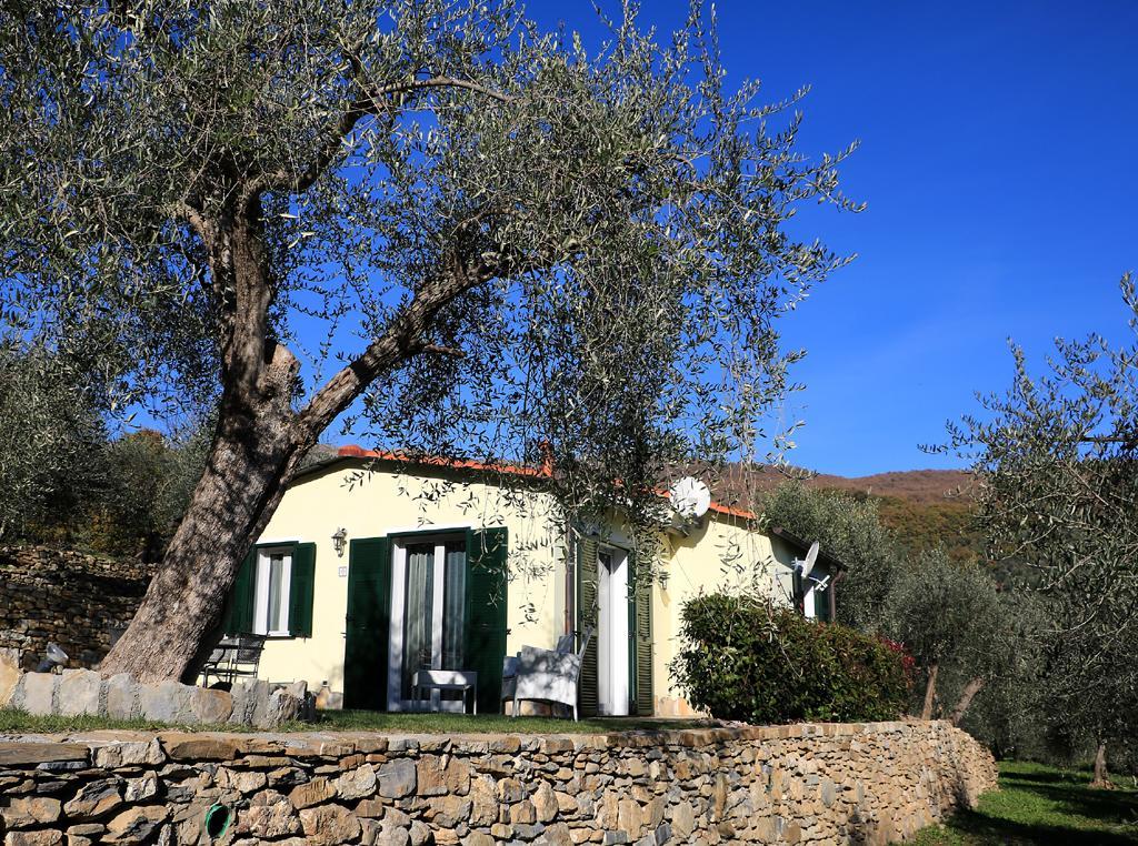 Casa Vacanze Gli Ulivi Βίλα Borgomaro Εξωτερικό φωτογραφία